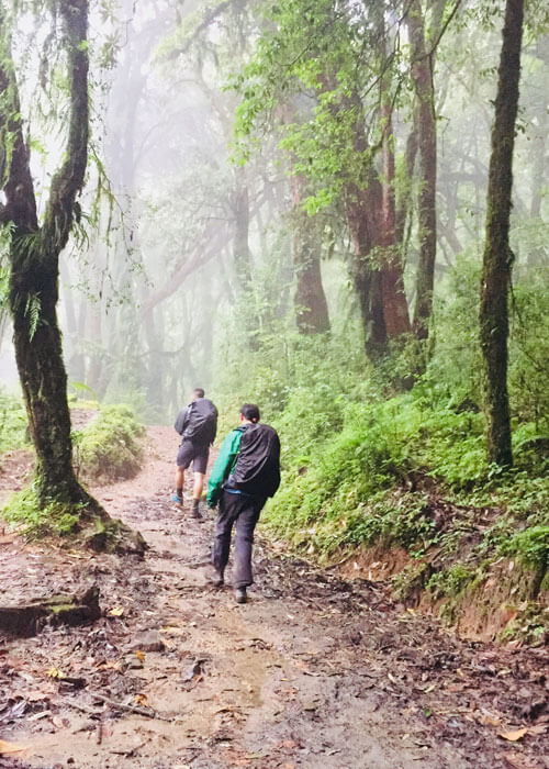 Mardi Himal trekking